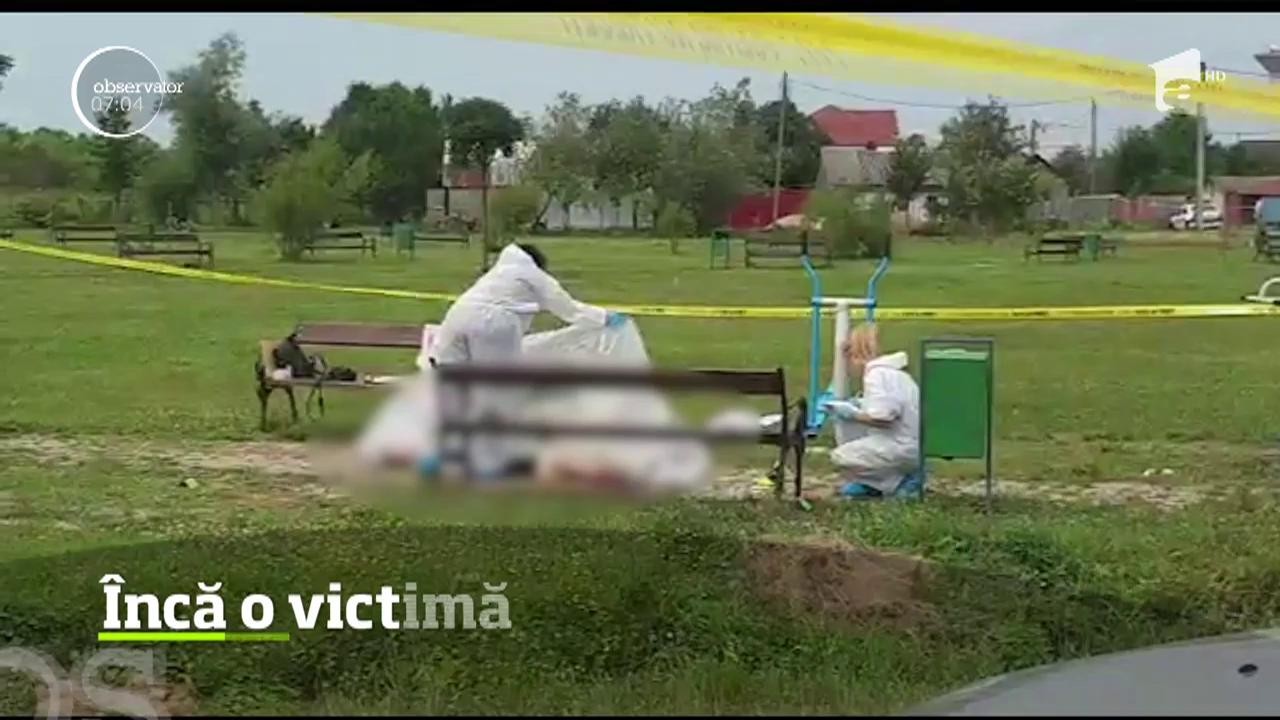 Femeia &icirc;njunghiată de Ionel Boldea &icirc;n parcul din Făget a murit