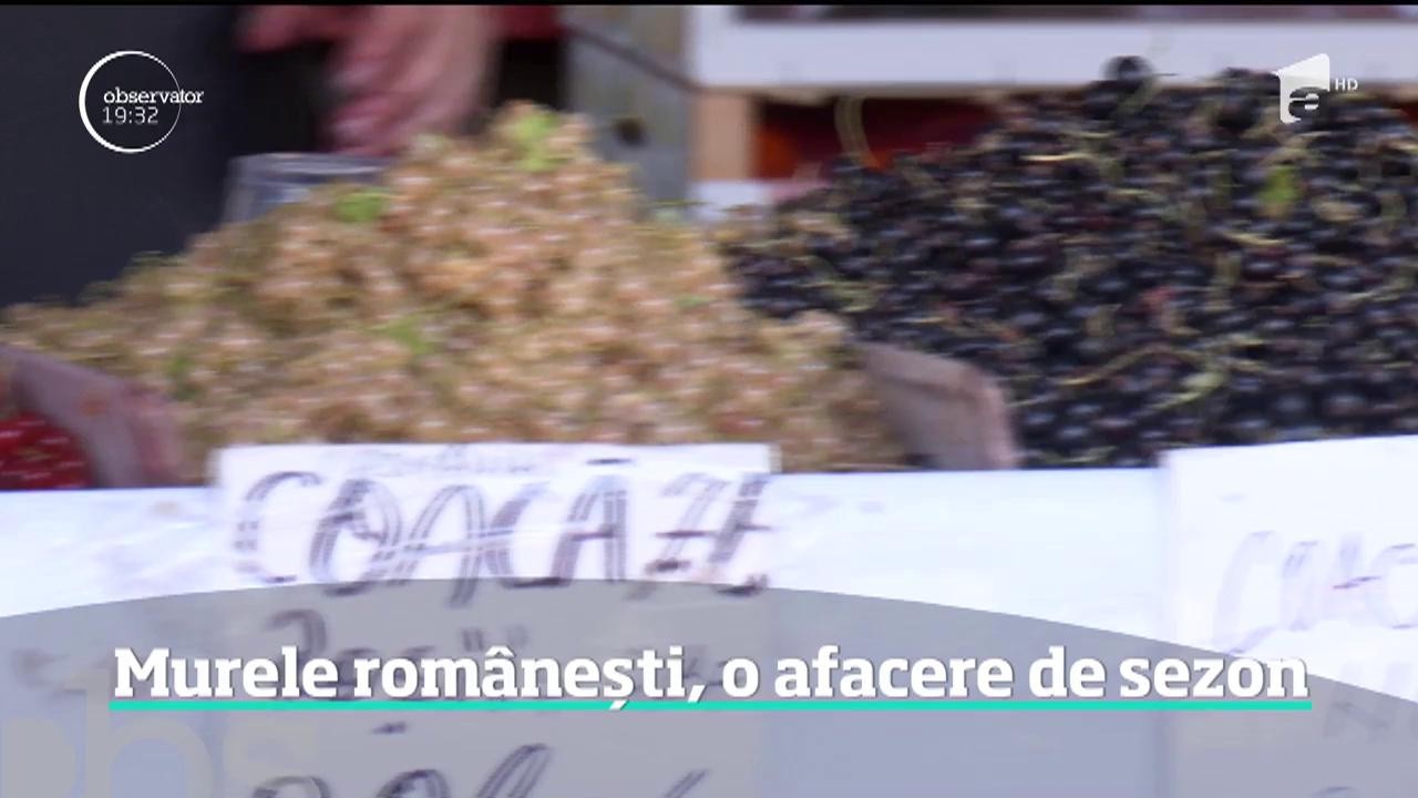 Murele rom&acirc;nești, o afacere de sezon