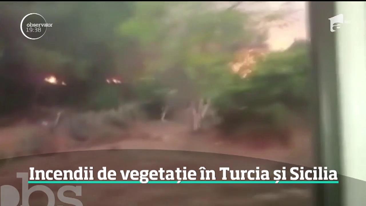Incendii de vegetație &icirc;n Turcia și Sicilia