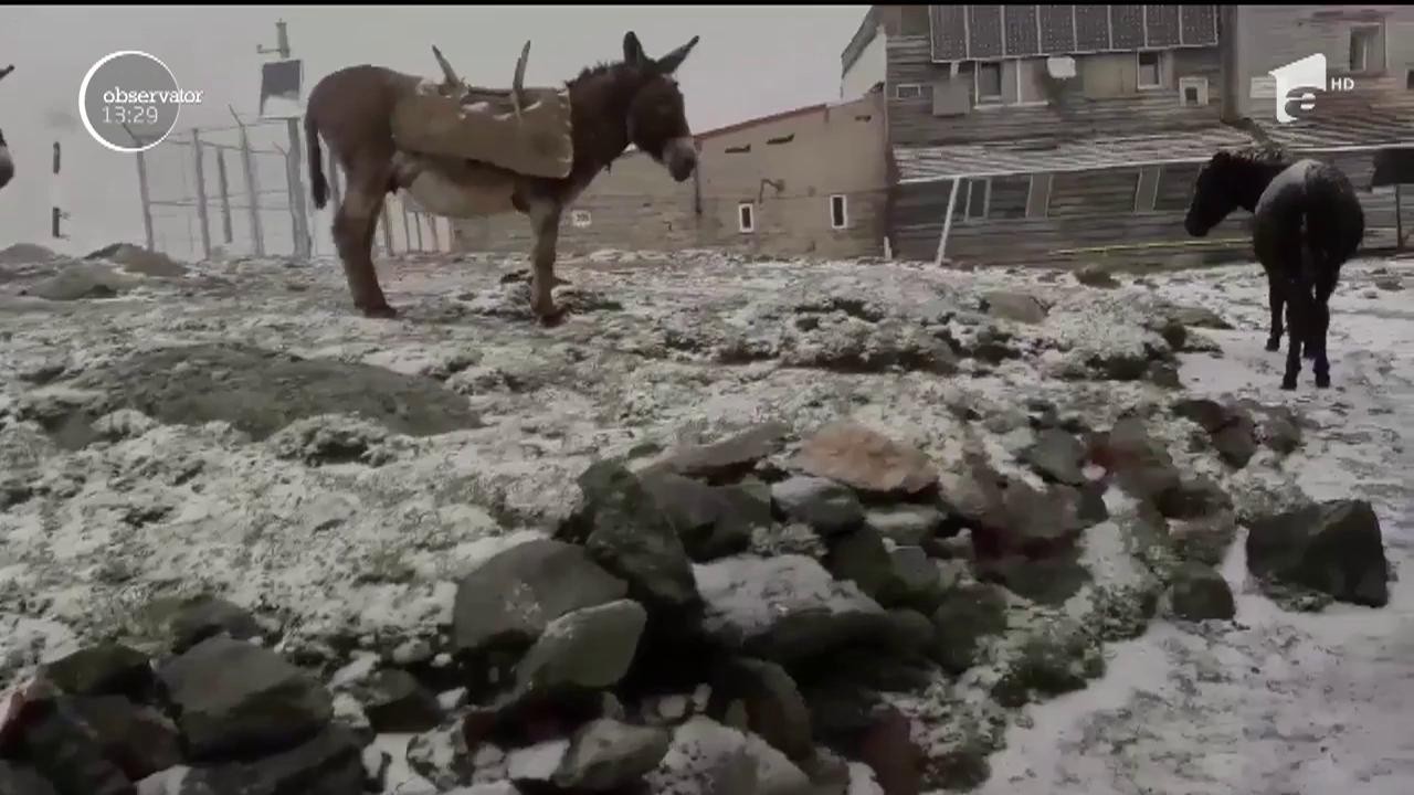 Deşi suntem &icirc;n mijlocul verii, pe crestele munţilor ninge ca &icirc;n prag de iarnă