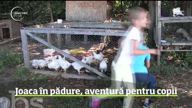 Joaca &icirc;n pădure, aventură pentru copiii din Oradea