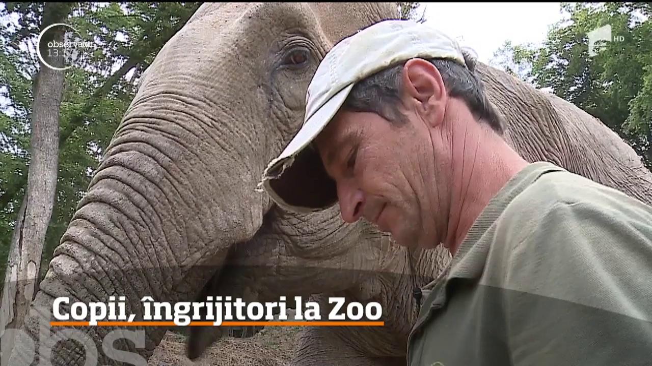 Copii, &icirc;ngrijitori la Grădina Zoologică din T&acirc;rgu Mureş