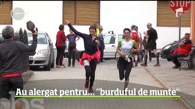 O provocare inedită pentru iubitorii de drumeţii a avut loc &icirc;n Mărginimea Sibiului
