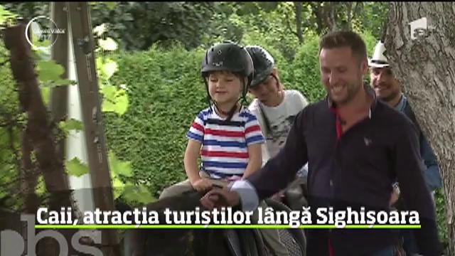 Caii, atracția turiștilor l&acirc;ngă Sighișoara