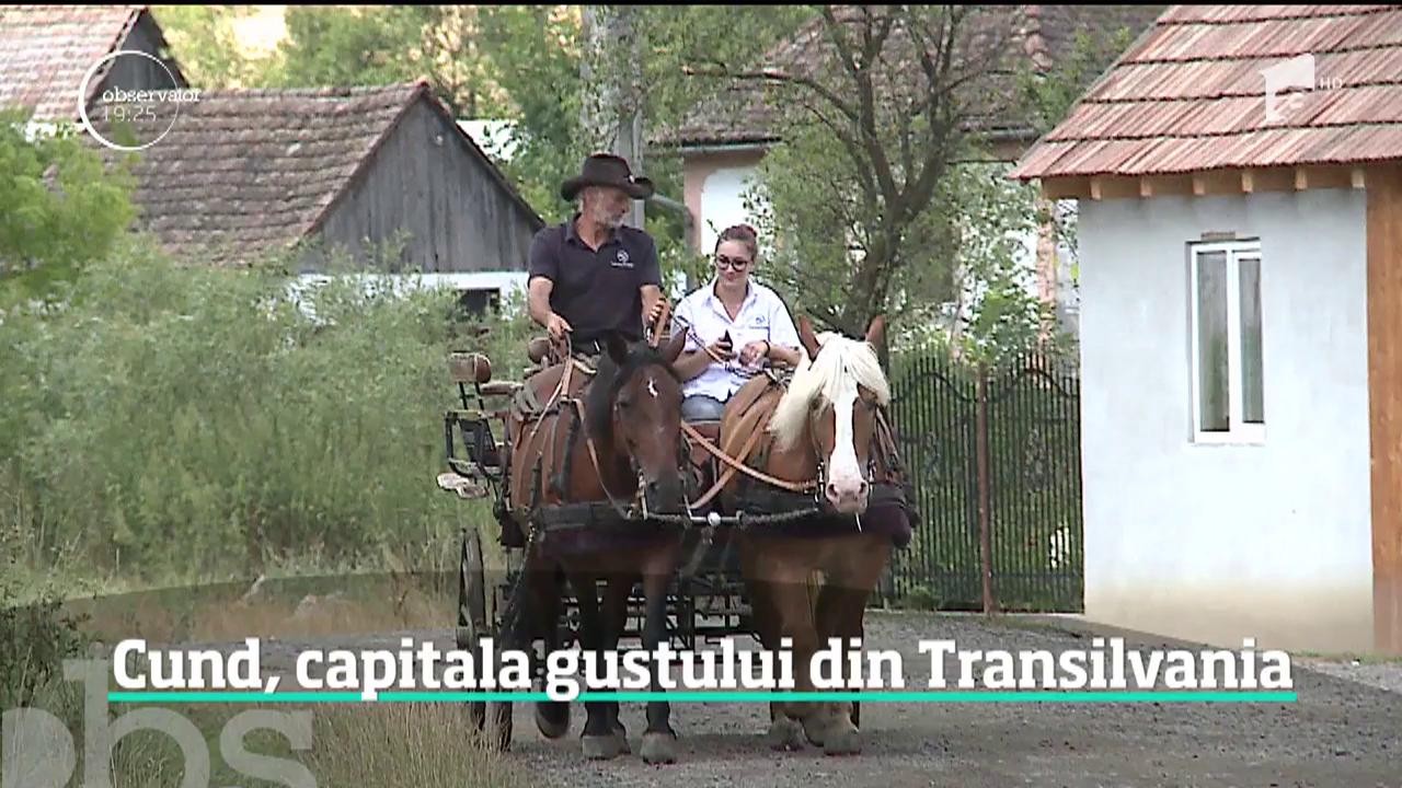 Un sat ascuns &icirc;n inima Transilvaniei a devenit destinaţia preferată a gurmanzilor. Turişti din toată lumea merg acolo pentru trufele sălbatice şi br&acirc;nza maturată ca &icirc;n Alpi