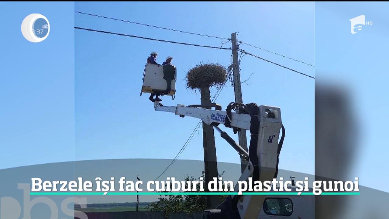 Nepăsarea oamenilor şi lipsa de educaţie pun &icirc;n pericol p&acirc;nă şi păsările. Un pui de barză a fost salvat la limită după ce a &icirc;nghiţit un material periculos aruncat la &icirc;nt&acirc;mplare