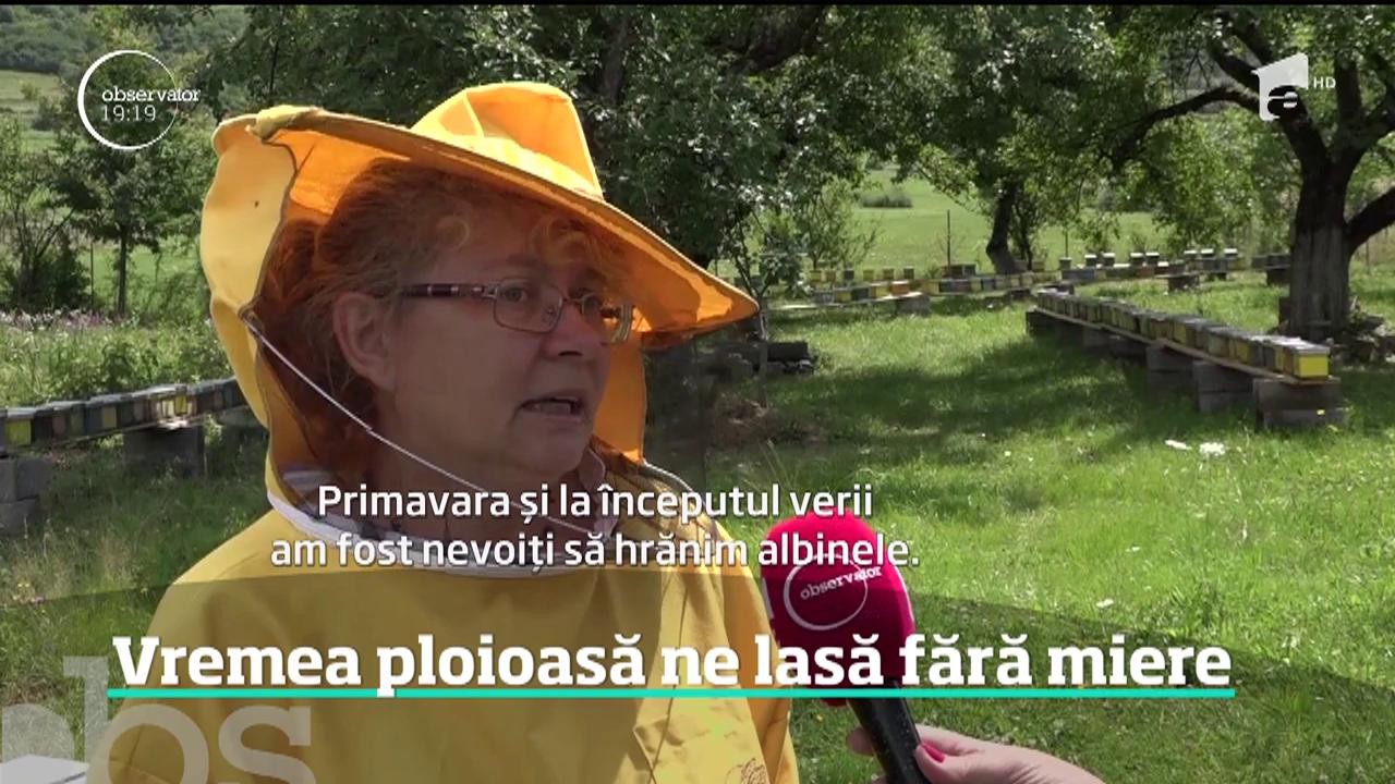 Se anunţă o criză a mierii de albine &icirc;n acest an, cea mai gravă din ultimele trei decenii