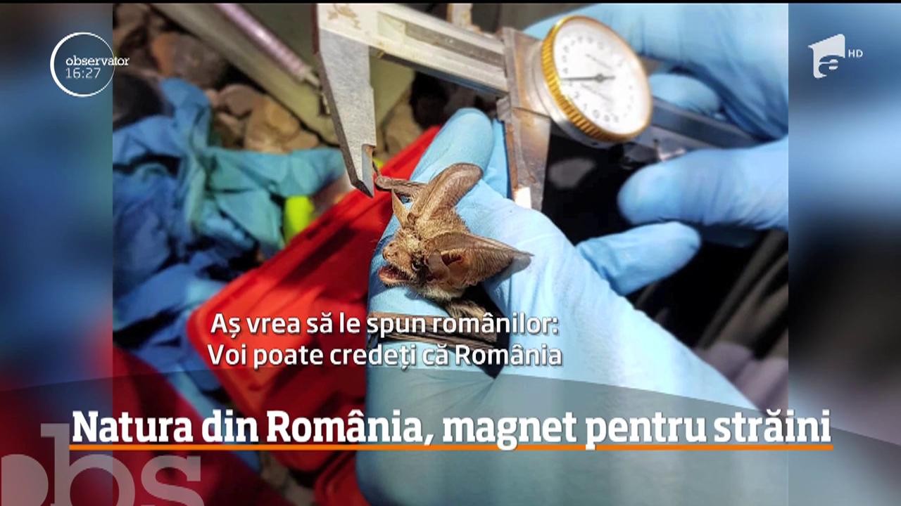 Natura din Rom&acirc;nia, magnet pentru străini