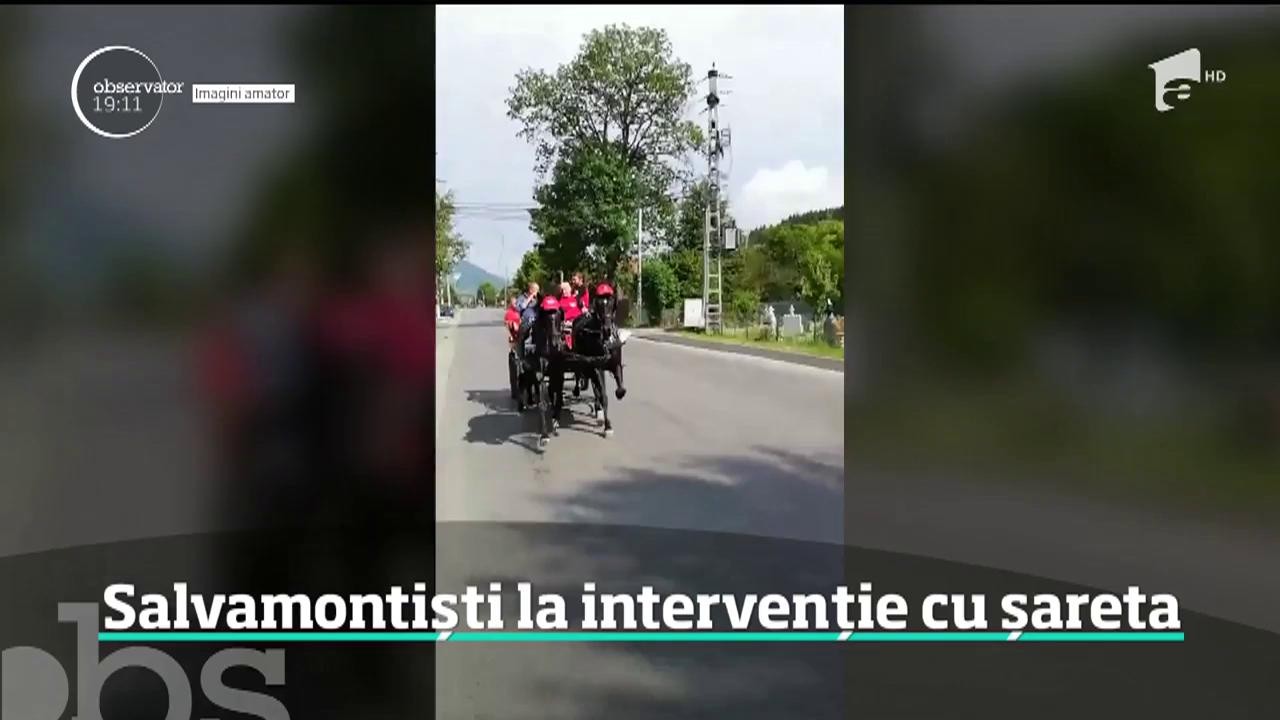 Situaţie tragicomică &icirc;n Rom&acirc;nia anului 2019. Salvatorii pleacă &icirc;n misiuni pe munte cu şareta