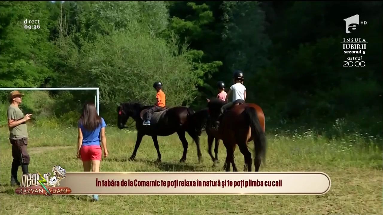 Nu știi unde să-ți trimiți copilul &icirc;n vacanță? Echipa Neatza cu Răzvan și Dani &icirc;ți recomandă tabăra de la Comarnic