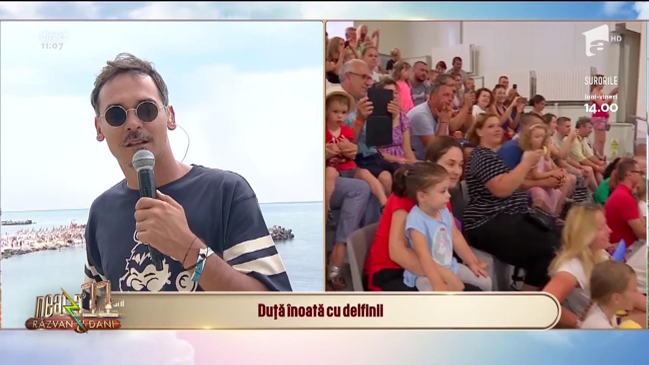 Ești la mare și vrei o zi de pauză de la plajă? Hai la Delfinariul Constanța!