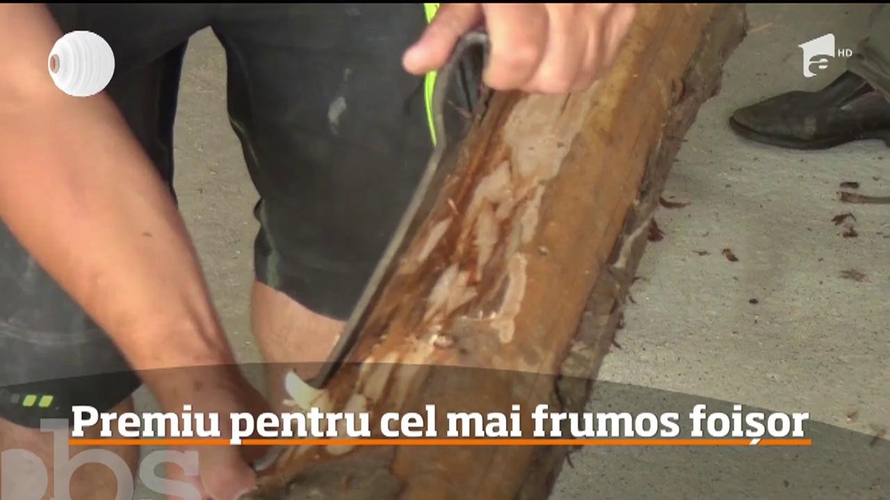 Primarul din S&acirc;ngeorz-Băi premiază cel mai frumos foișor din localitate, din buzunarul propriu