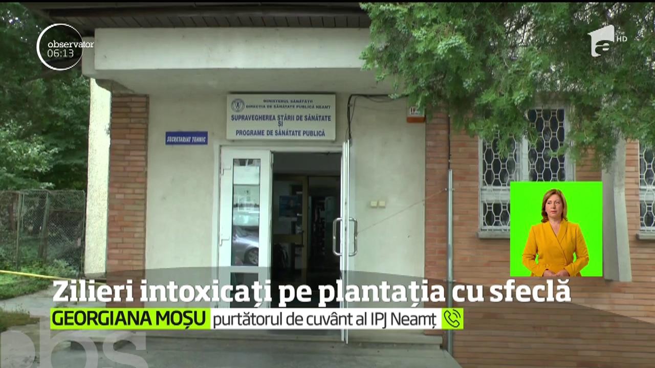 Zeci de persoane din Roman, printre care şi copii, au ajuns &icirc;n stare gravă la spital după ce s-au intoxicat pe un teren plantat cu sfeclă