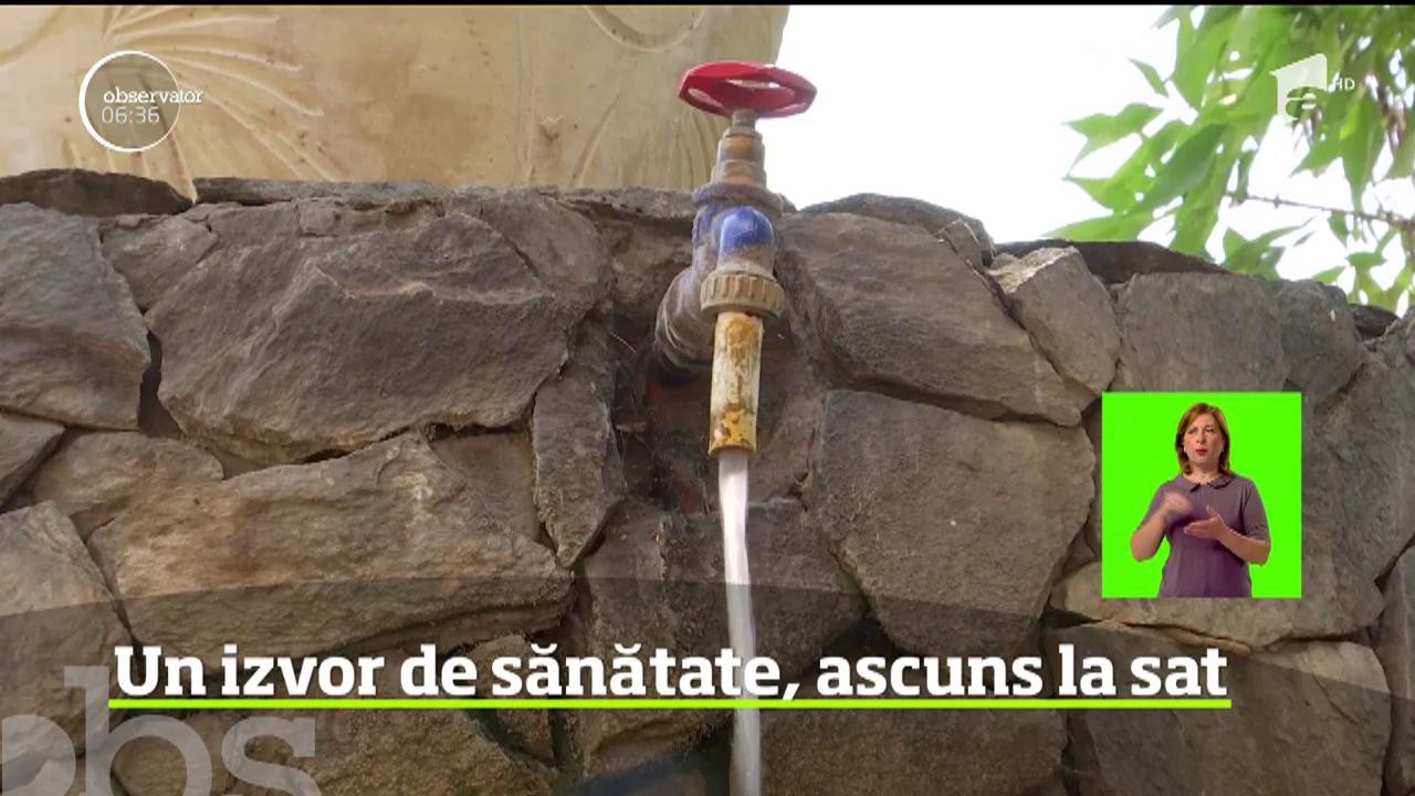 La c&acirc;ţiva kilometri de Timişoara, &icirc;ntr-o comună, există un adevărat miracol al naturii