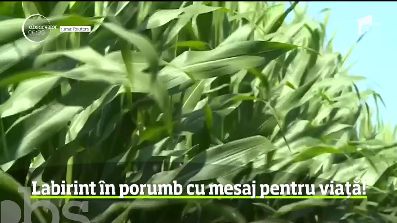 Un fermier din Wisconsin a creat un labirint &icirc;n lanul de porumb pentru a veni &icirc;n ajutorul oamenilor cu g&acirc;nduri suicidale