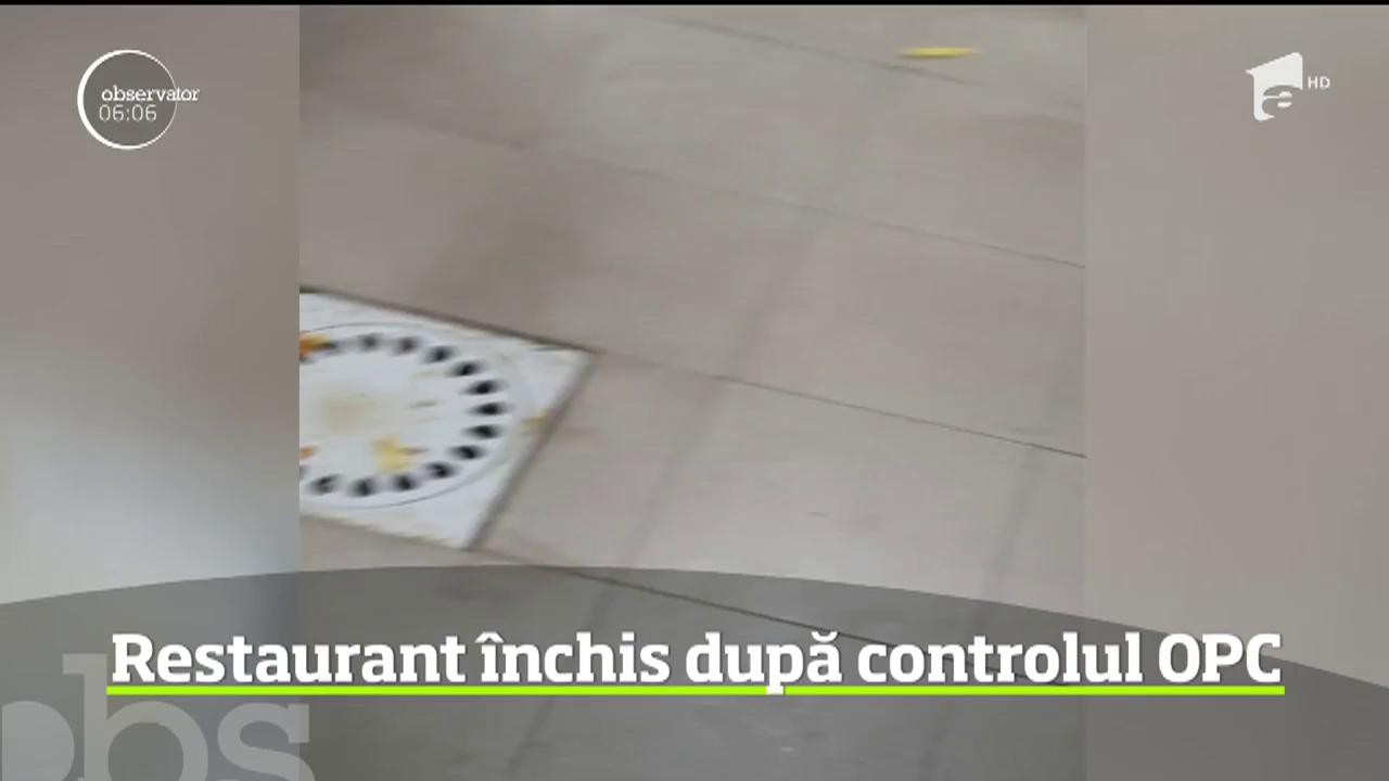 Un control fulger la un restaurant din Lugoj a scos la iveală nereguli grave