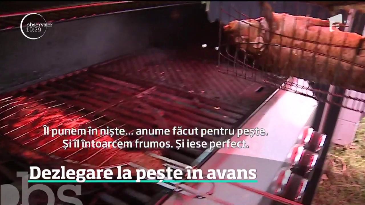 Dezlegare la peste &icirc;n avans, &icirc;n Ardeal