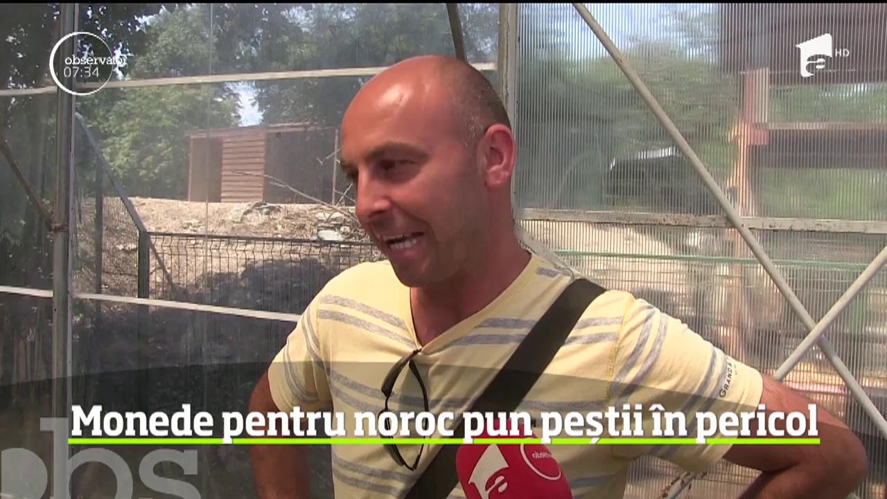 Dorinţele turiștilor ucid peştii din bazinul amenajat l&acirc;ngă delfinariul din Constanţa!
