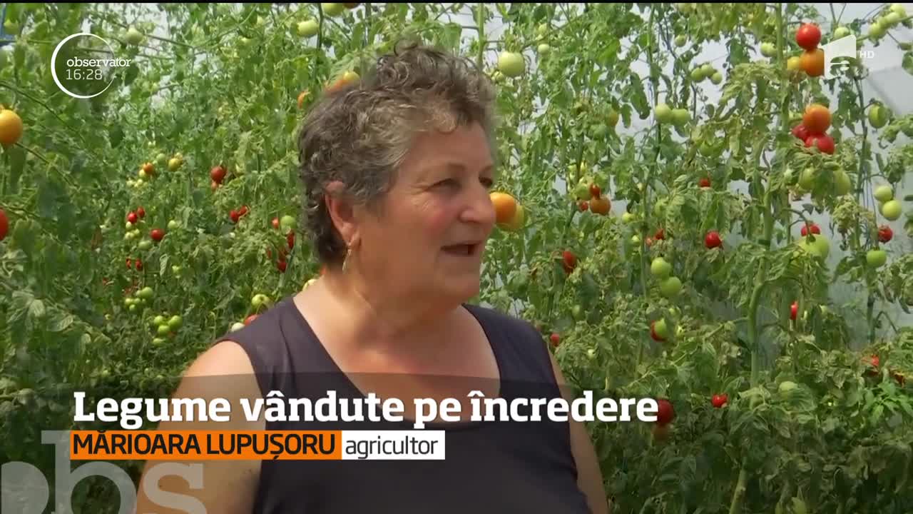 Legume v&acirc;ndute pe &icirc;ncredere, de un fermier din Timiş. Cumpărătorii au o listă de preţuri şi produsele gata ambalate
