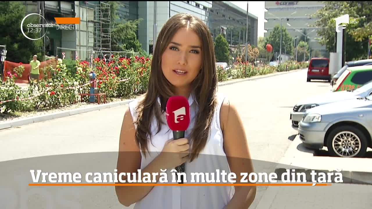 Vreme caniculară &icirc;n mai multe zone din ţară