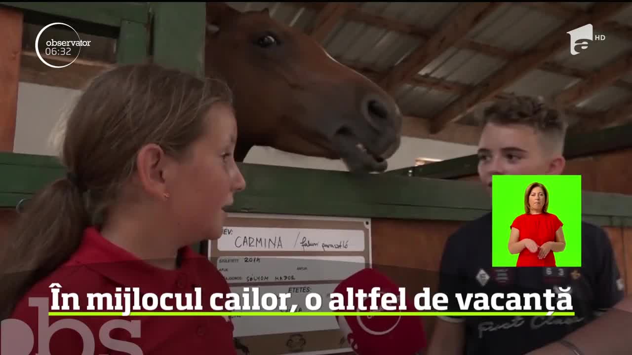 Tabăra de echitaţie din judeţul Harghita, un loc ideal pentru copii