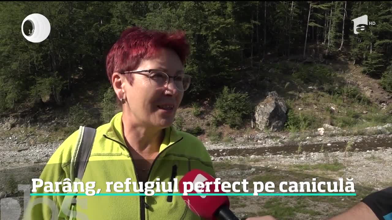 Munții Par&acirc;ng, refugiul perfect pe caniculă