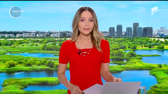 Delta Văcăreşti, oaza din mijlocul Capitalei