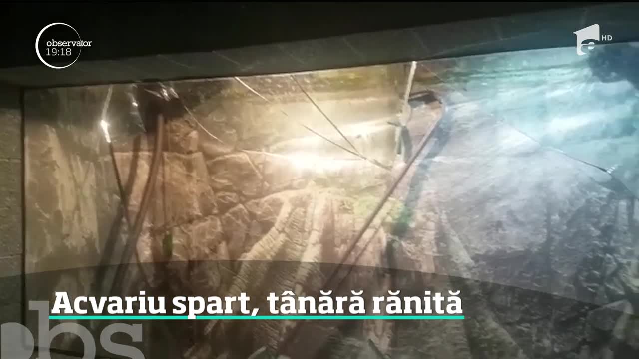 O t&acirc;nără de 16 ani a fost rănită, după ce un acvariu s-a spart la muzeul acvatic din Constanţa