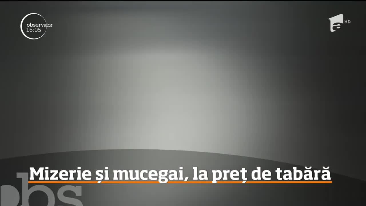 Condiţii inumane &icirc;ntr-o tabără din staţiunea Neptun