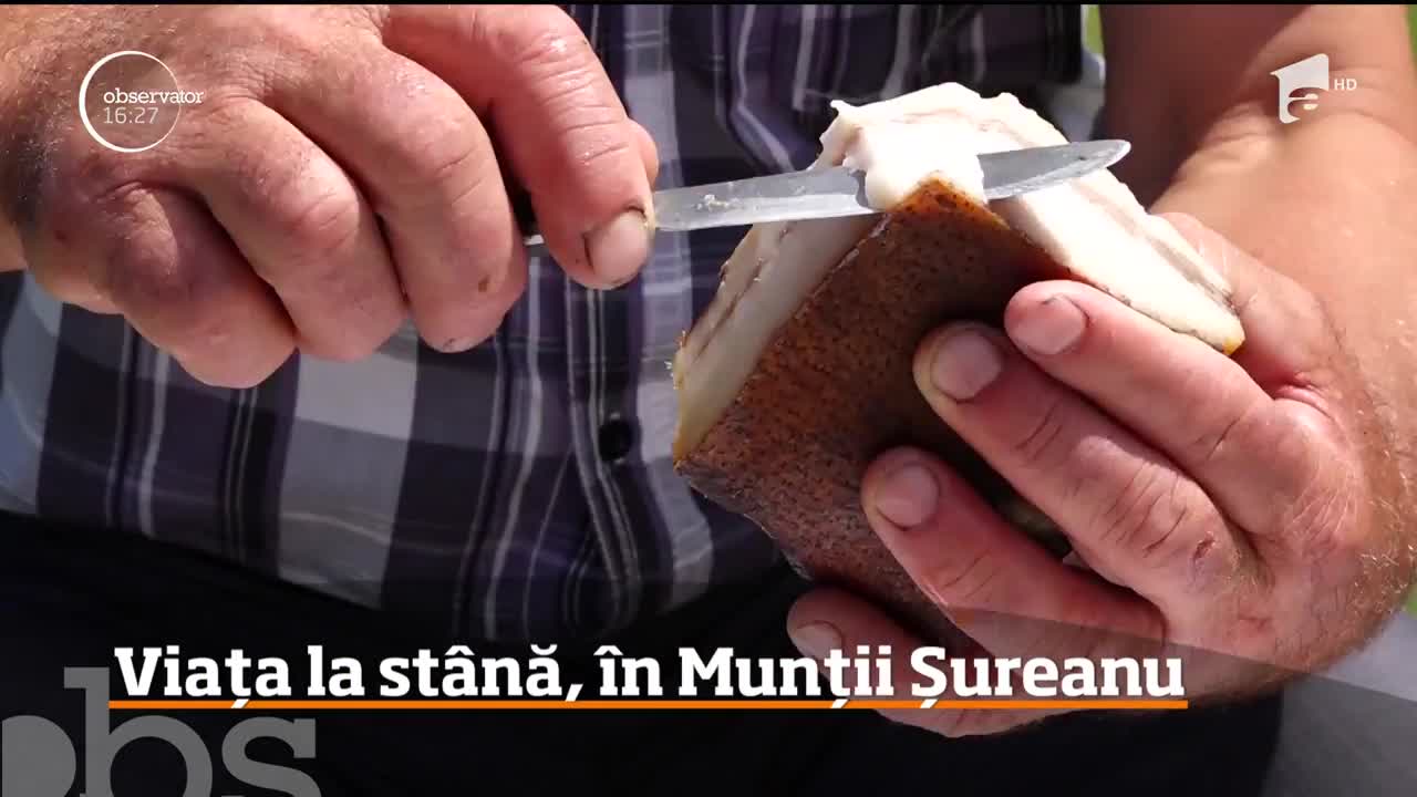 Viaţa la st&acirc;nă, &Icirc;n Munţii Sureanu