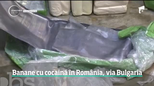 Cocaină pură ascunsă &icirc;n cutii de banane