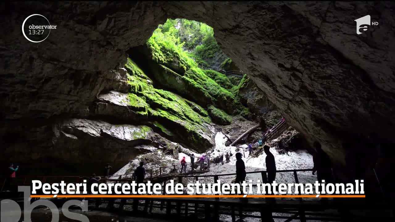 Unele dintre cele mai vechi peşteri din lume, din munţii Apuseni, au devenit loc de studiu pentru studenţii internaționali