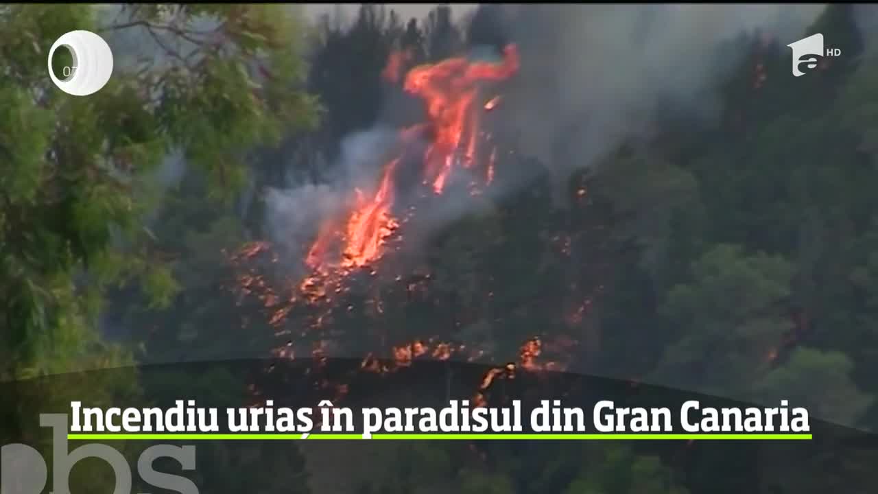Paradisul din Insulele Canare s-a transformat &icirc;n infern. 2.000 de hectate au ars, iar zeci de localităţi sunt ameninţate de flăcări