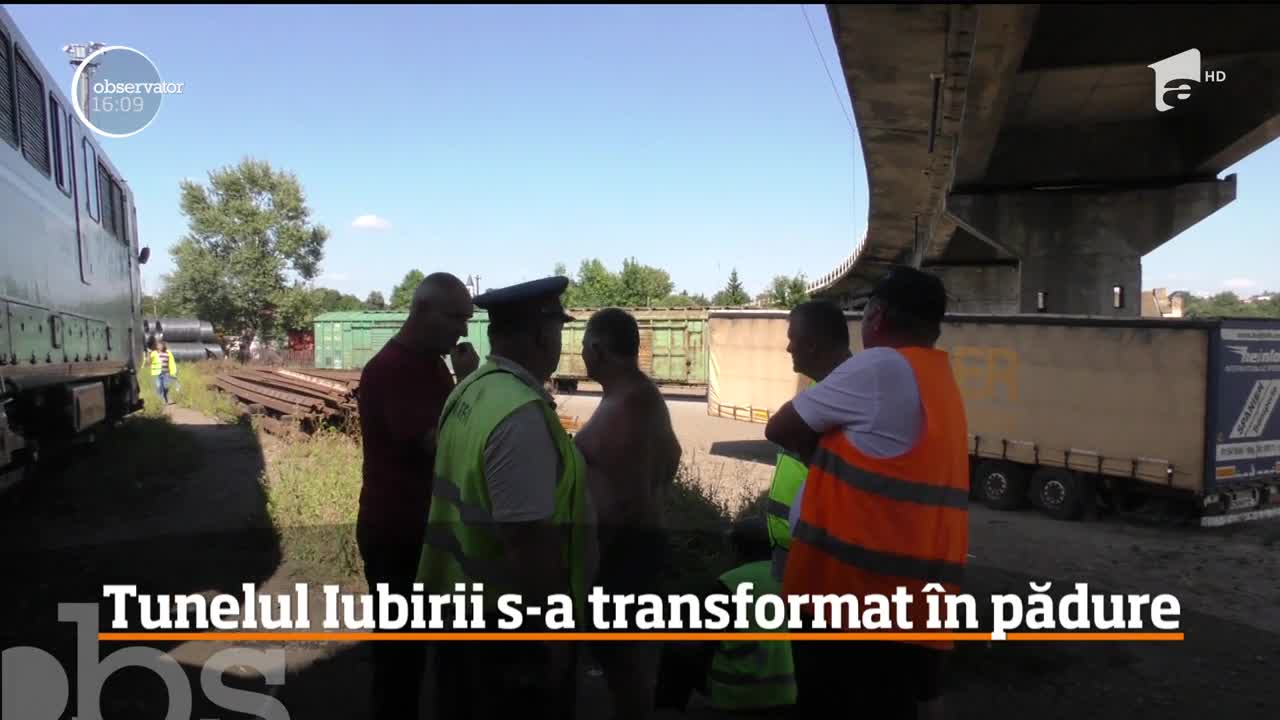 Tunelul Iubirii din Caraş Severin s-a transformat &icirc;n ultimii ani &icirc;ntr-un hăţiş