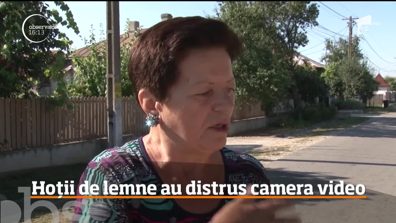Hoții de lemne din D&acirc;mboviţa au distrus camerele de supraveghere din localitate