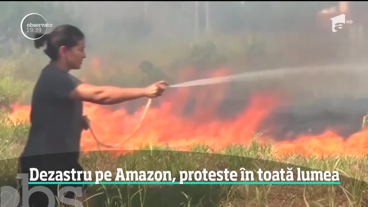 Dezastru pe Amazon, proteste &icirc;n toată lumea. Incediile de pădure sunt scăpate de sub control &icirc;n Brazilia, Venezuela, Bolivia, Columbia şi Peru