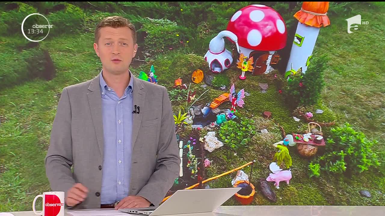 Insula z&acirc;nelor din T&acirc;rgu-Mureş, locul de poveste al copiilor