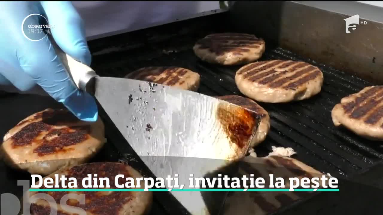 Gustul Deltei Dunării s-a mutat la munte. La Braşov, bucătarii s-au &icirc;ntrecut &icirc;n delicii pescăreşti