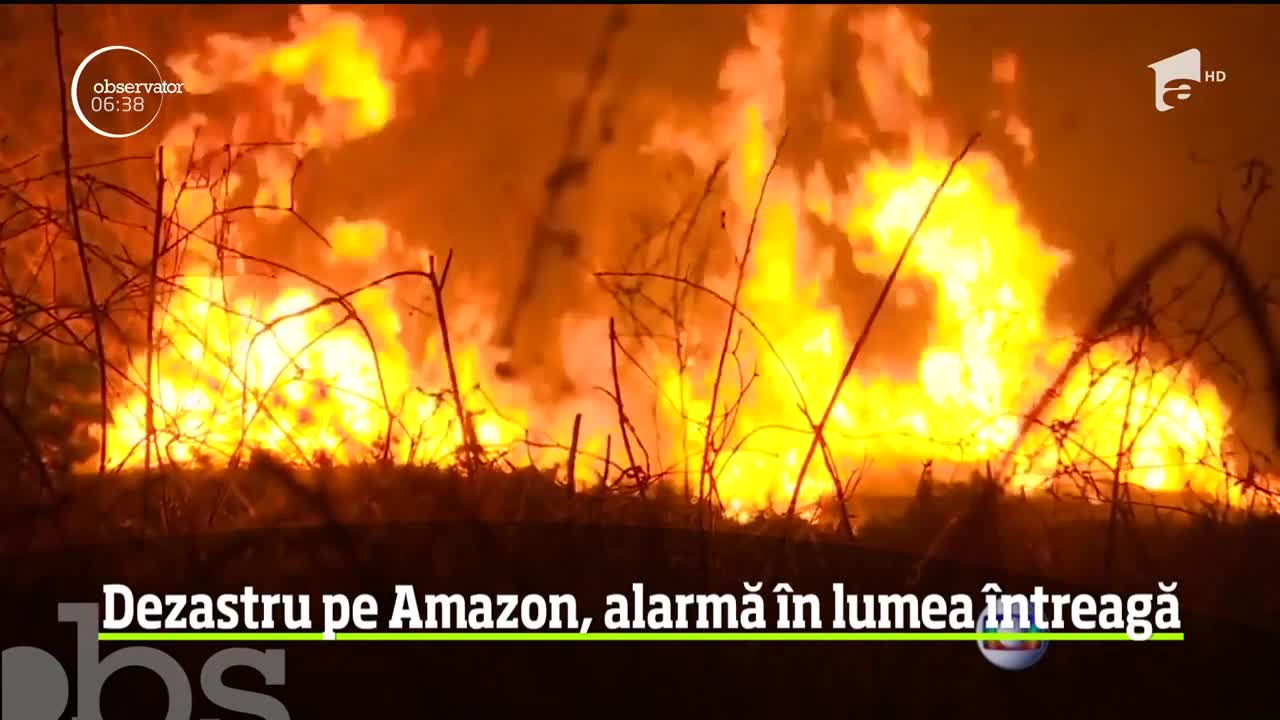 Dezastru &icirc;n pădurea amazoniană. 40.000 de soldaţi din Brazilia se vor alătura luptei cu flăcările