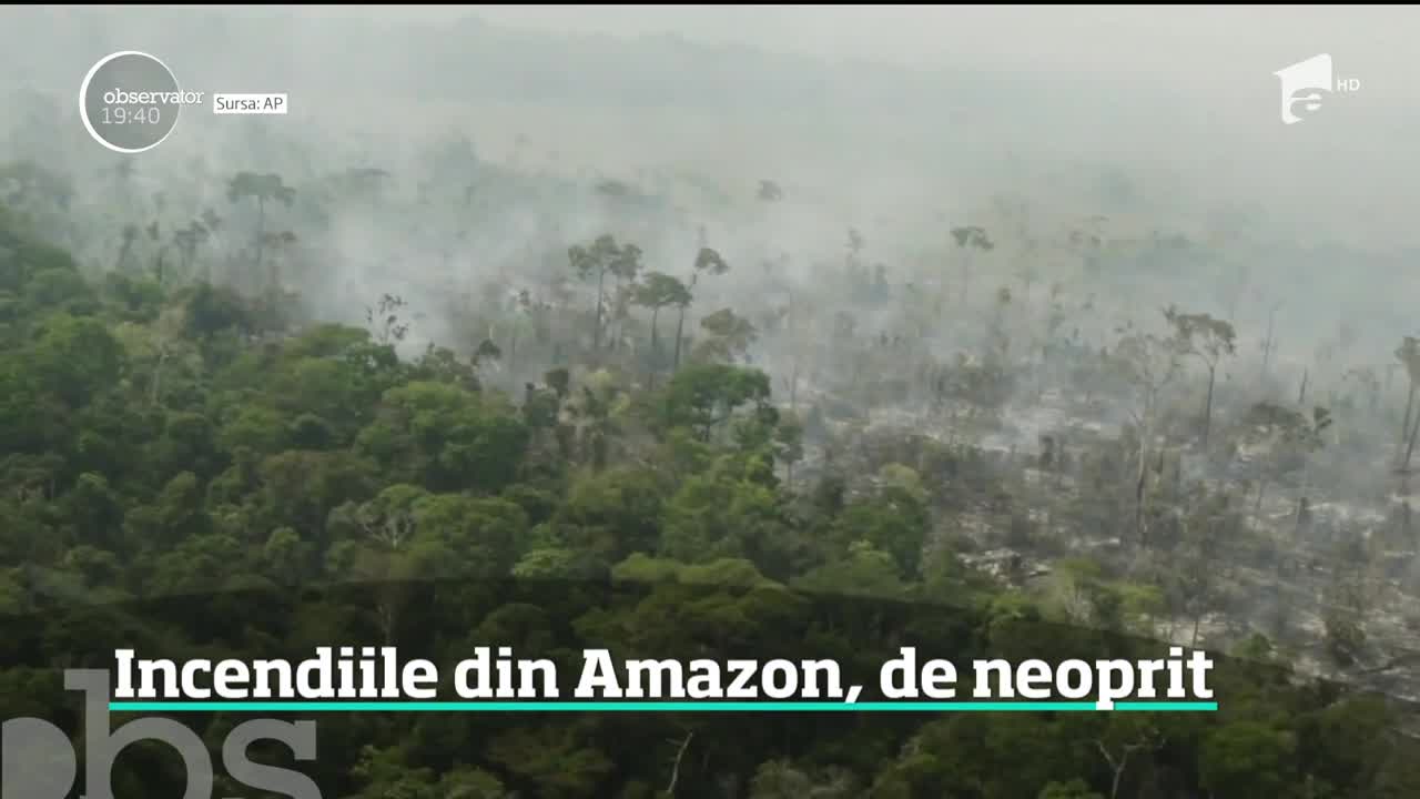 Incendiile din Amazon, de neoprit