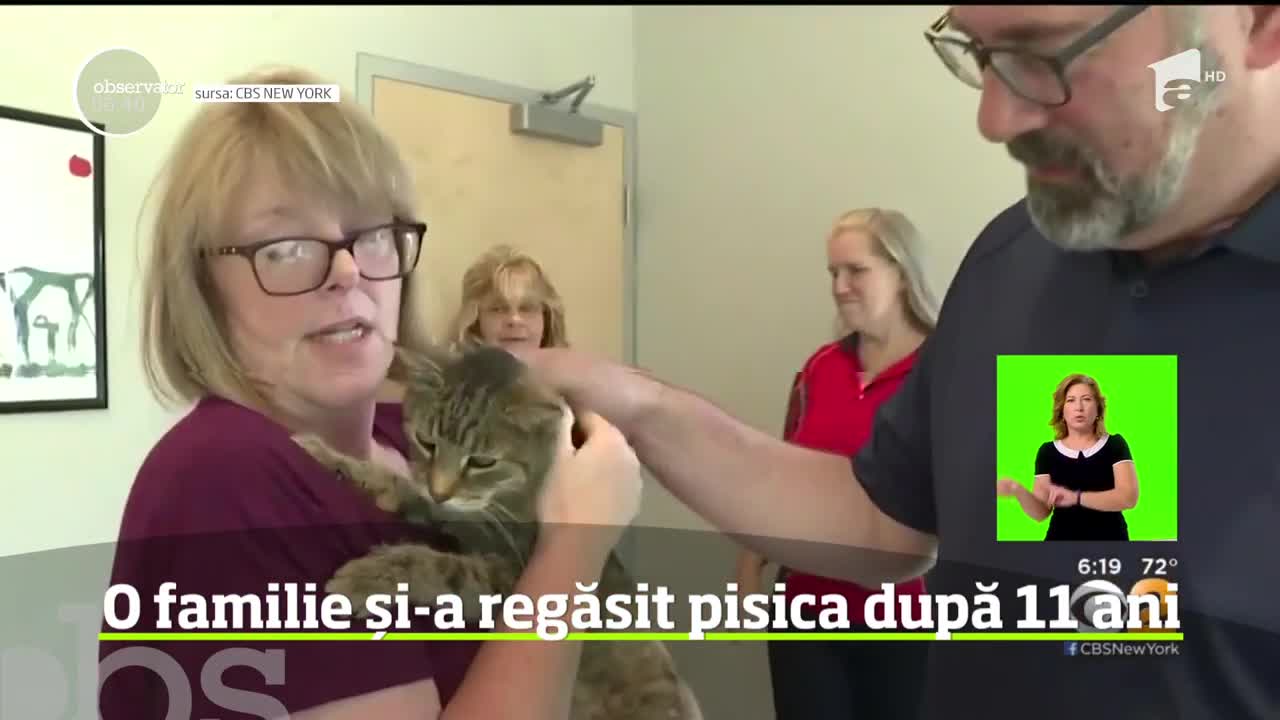 Bucurie mare &icirc;ntr-o familie din statul New York, care şi-a regăsit pisica dispărută cu nu mai puţin de 11 ani &icirc;n urmă