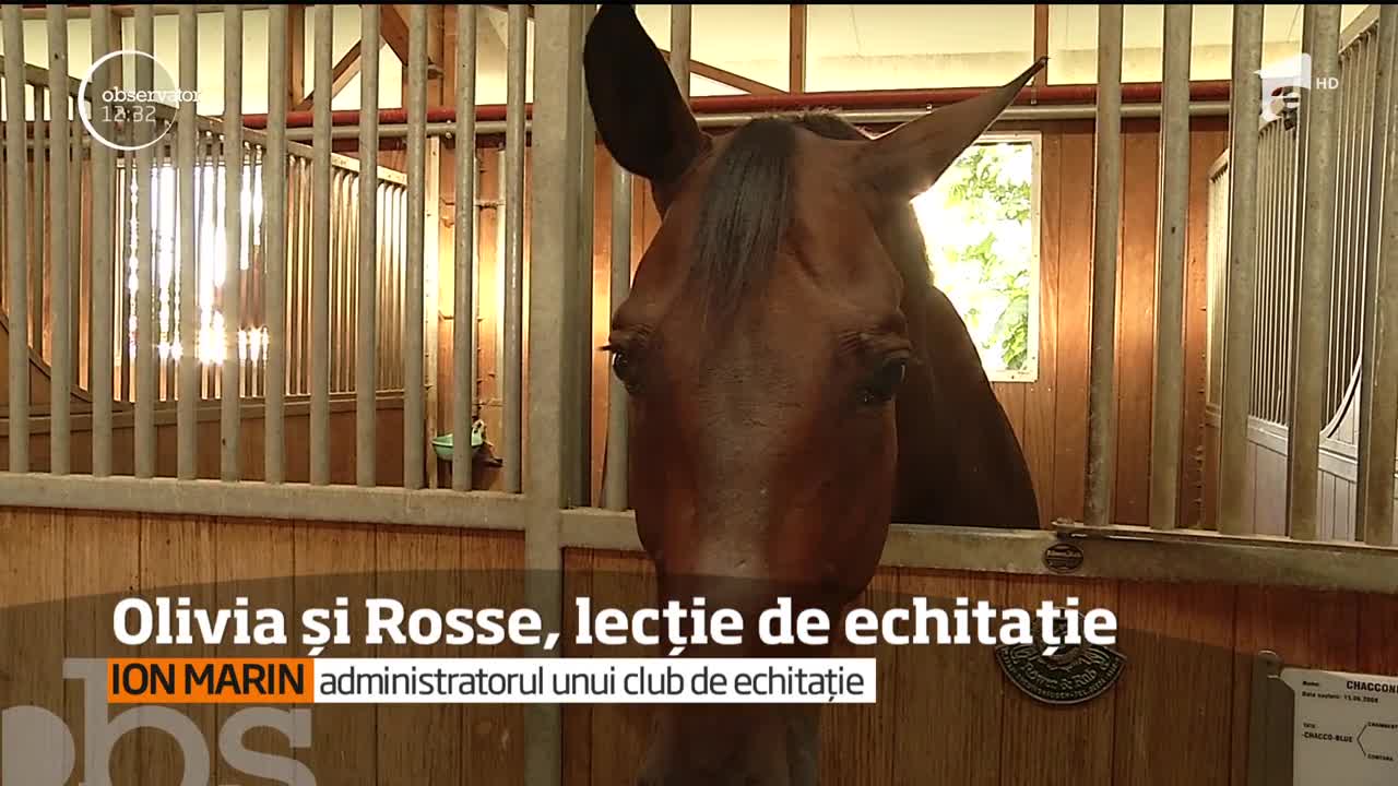 Echitaţia, &icirc;ntre sport și relaxare. Ce trebuie să știi c&acirc;nd mergi la prima lecție