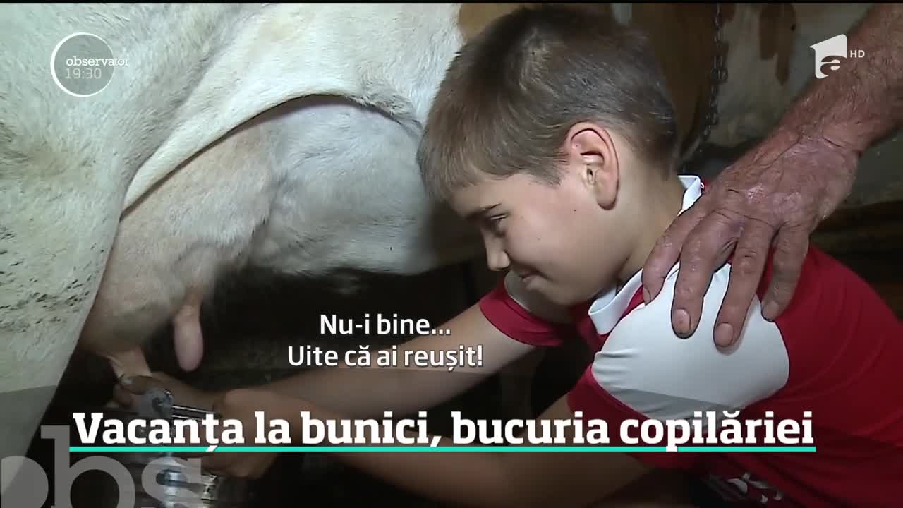 Vacanța la bunici, bucuria copilăriei