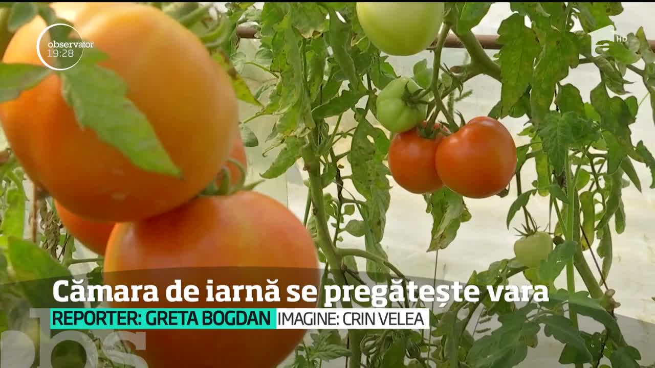 S-a dat startul pregătirilor pentru iarnă &icirc;n cămară