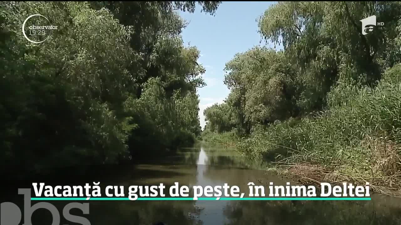 Turismul gastronomic din gospodăriile ţărăneşti ar putea fi un brand de ţară