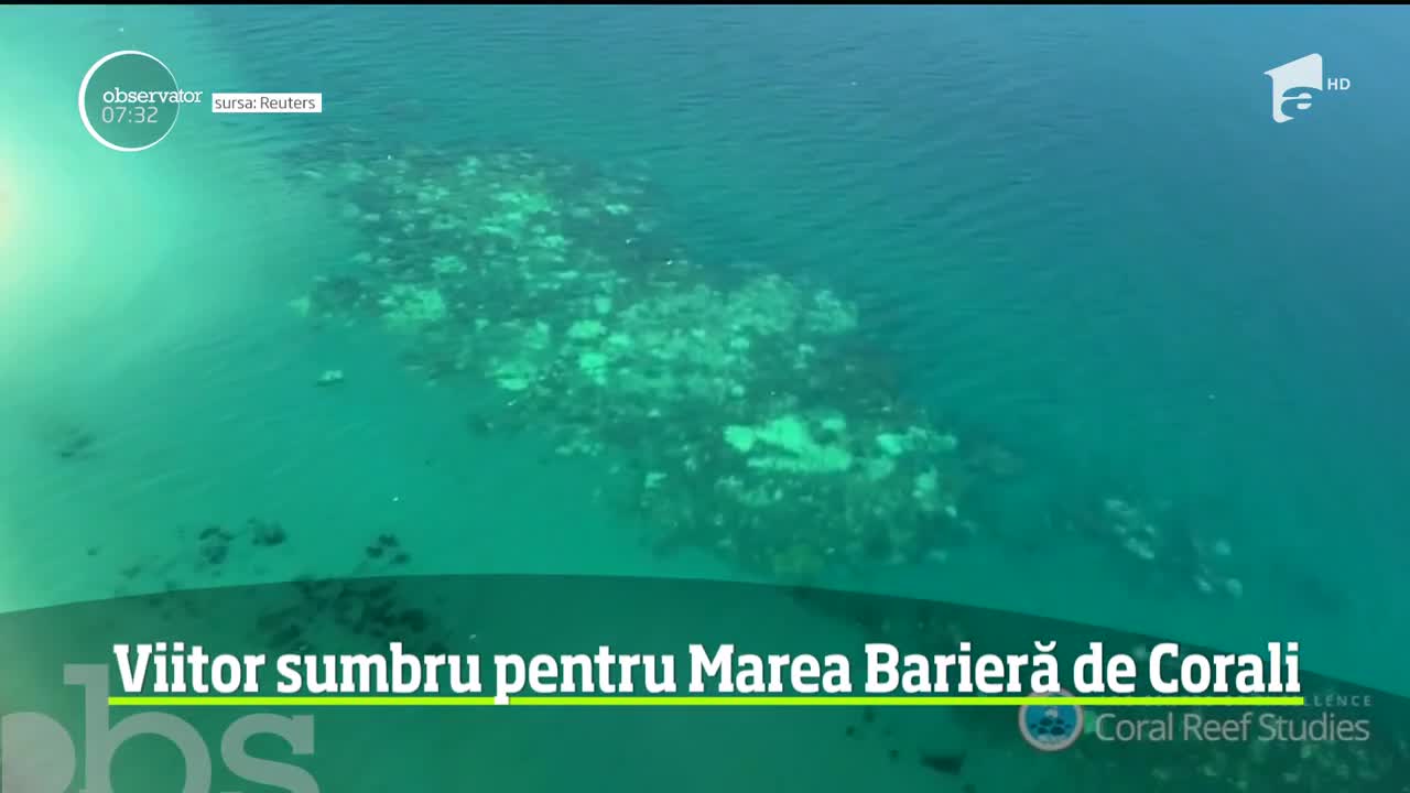 Marea Barieră de Corali din Australia are &icirc;n faţă un viitor sumbru