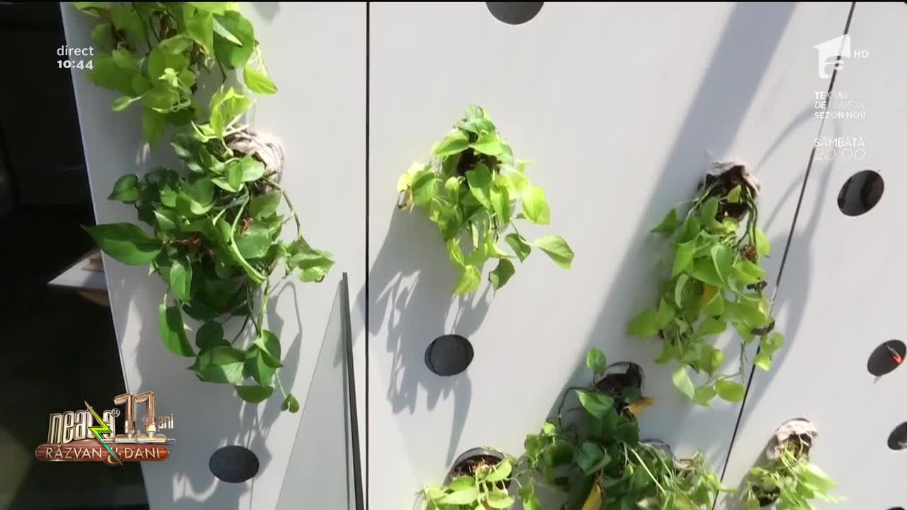 EFdeN - casă inteligentă care produce mai multă energie dec&acirc;t consumă