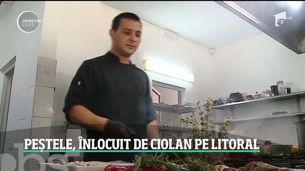 Peștele, &icirc;nlocuit de ciolan pe Litoral