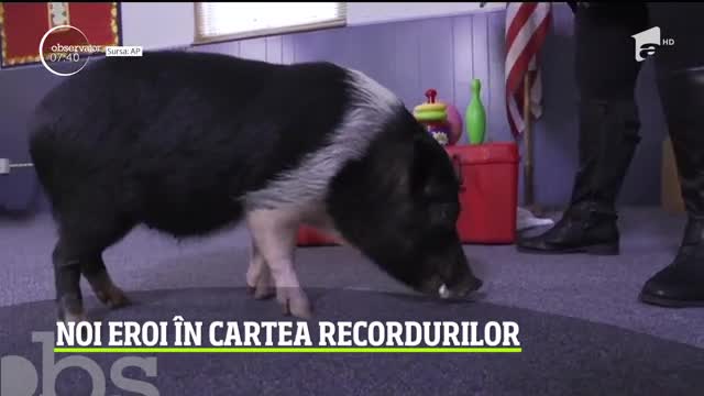 Noi eroi &icirc;n Cartea Recordurilor