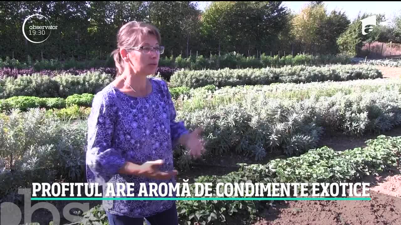 Profitul are aromă de condimente exotice